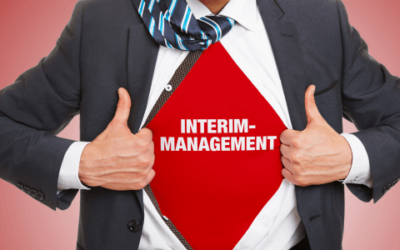 Is an Interim Executive Director the Right Choice?