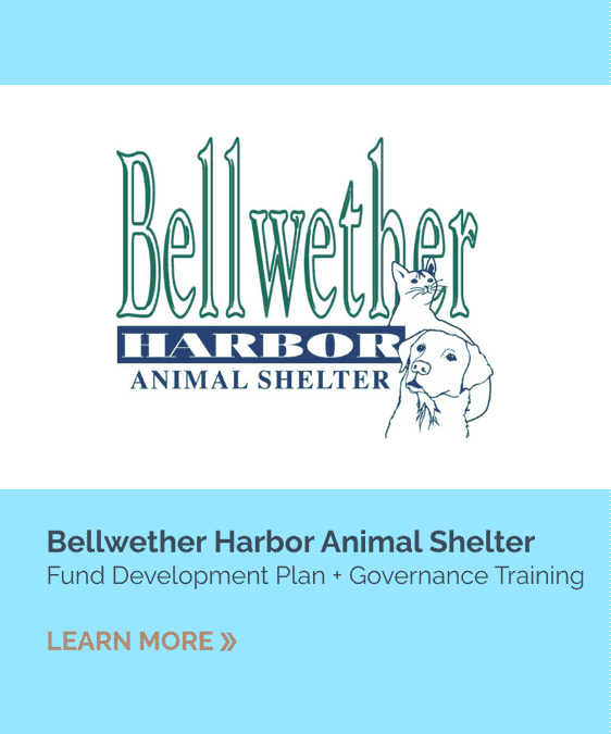 Bellwether Harbor Animal Shelter